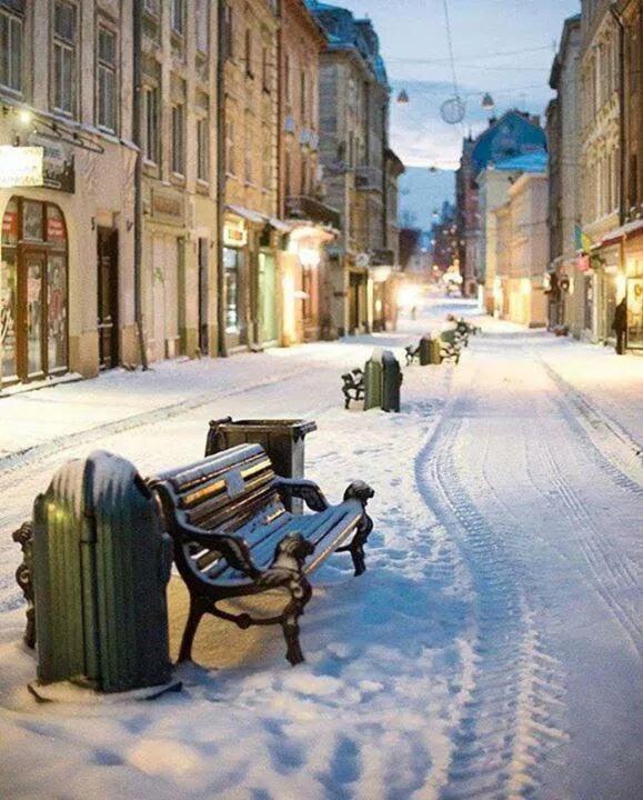 Apartments Galitskaya Street Lviv Exterior photo